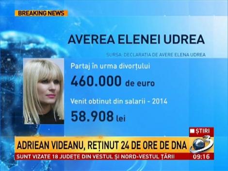 Averea Elenei Udrea nu a fost verificată niciodată de ANI