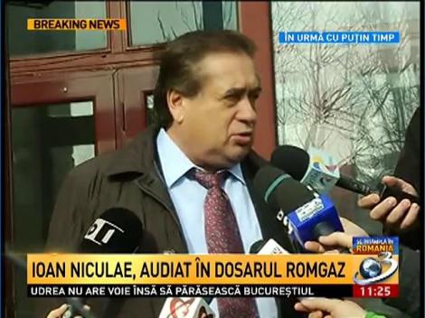 Ioan Niculae, audiat în dosarul Romgaz-Interagro