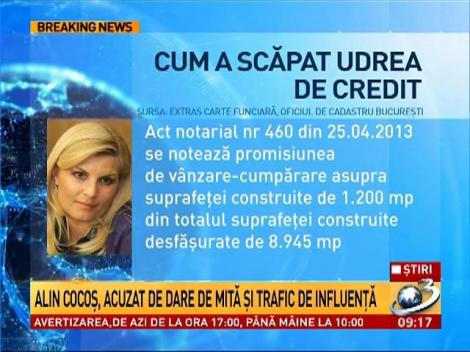 Cum a scăpat Udrea de credit