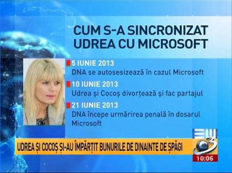 Ediţie de weekend. Divorţul Udrea - Cocoş, la început de dosar Microsoft