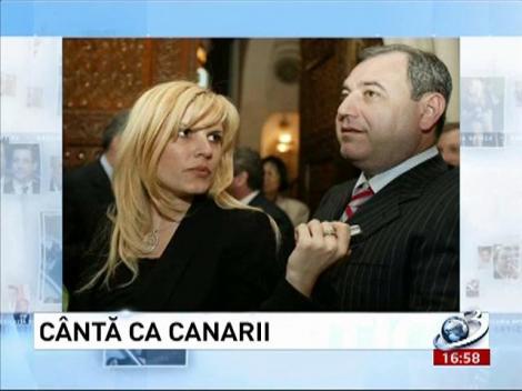 Deziluzia optică: Cântă ca canarii