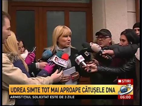 Elena Udrea, BUTOIUL cu PULBERE pentru caracatiţa băsistă. FRICA de &icirc;nchisoare o face să-i tragă pe TOŢI &icirc;n jos după ea