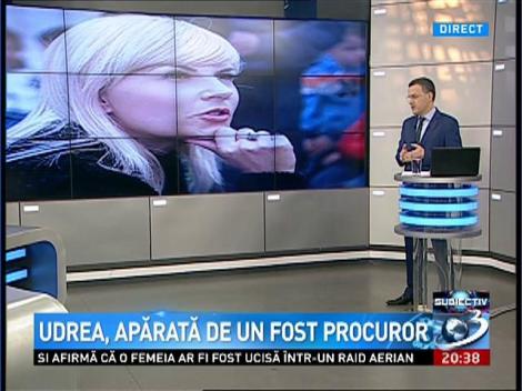 Felix Rache: Elena Udrea a avut avocat un preşedinte