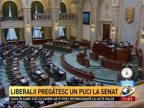 Liberalii pregatesc un puci la Senat