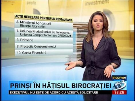 INCOME- românii cu spirit antreprenorial sunt descurajaţi din start să îşi deschidă propriile business-uri