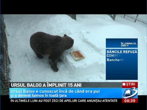 Ursul Baloo a împlinit 15 ani.  A fost petrecere mare în staţiunea montană Straja