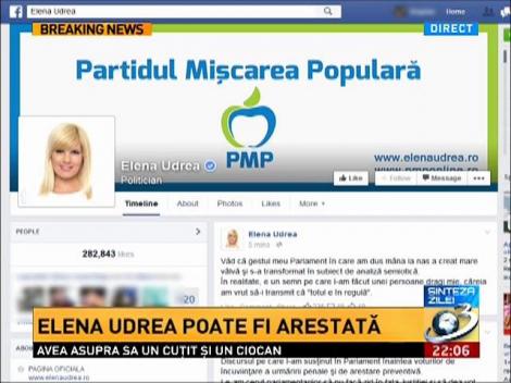 Elena Udrea îşi explică gestul din Parlament pe Facebook