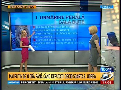 Cele 6 voturi pe care trebuie să le dea deputaţii în cazul Elena Udrea