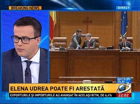 Breaking News: Parlamentarii au votat pentru arestarea Elenei Udrea