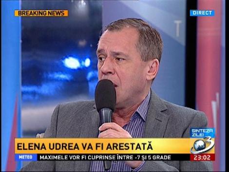 Elena Udrea şi-a asumat "destinul" &icirc;ntr-un mesaj pe Facebook