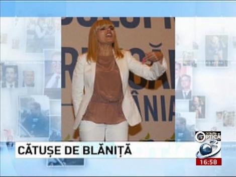 Deziluzia optică: Cătuşe de blăniţă