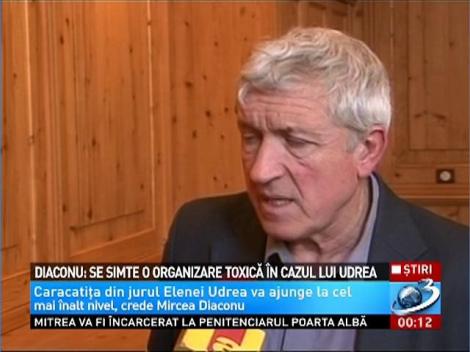 Mircea Diaconu: Se simte o organizare toxică în cazul Elenei Udrea