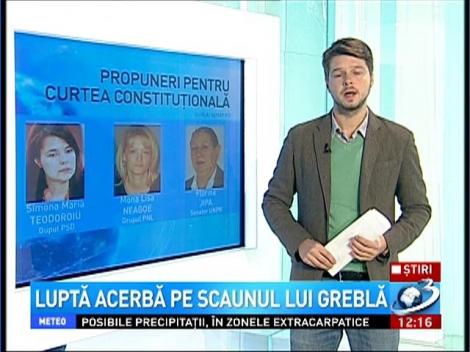 Trei oameni se bat pe scaunul lui Greblă de la CCR. Cine sunt candidaţii şi pe ce voturi mizează fiecare tabără