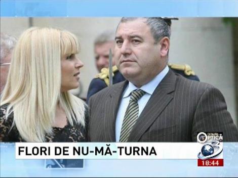 Deziluzia Optică: Flori de nu-mă-turna