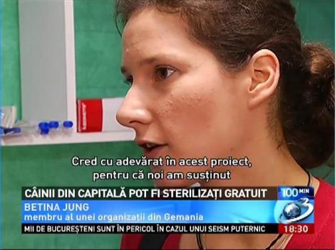 Câinii din Capitală pot fi sterilizaţi gratuit