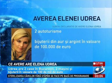 Ce avere are Elena Udrea?