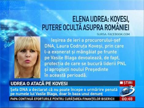 Elena Udrea se războieşte, din arest, cu toată lumea