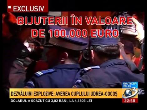 Dezvăluri explozive. Averea cuplului Udrea-Cocoş
