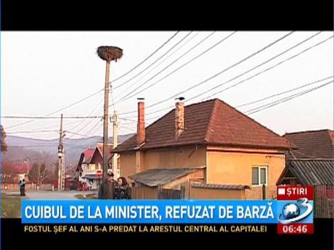 Cuibul de la Minister, refuzat de barză