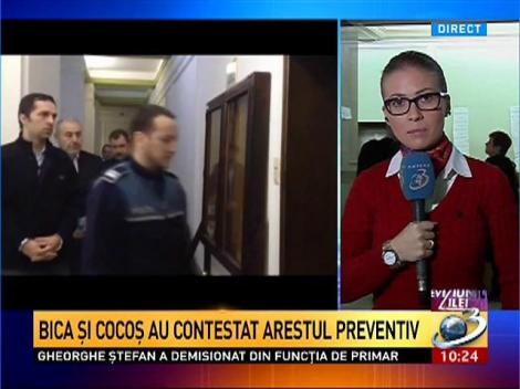 Lotul Bica 2 este la &Icirc;nalta Curte