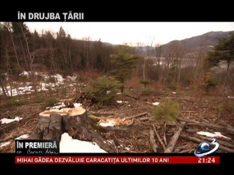 &Icirc;n premieră, partea I: &Icirc;n drujba ţării