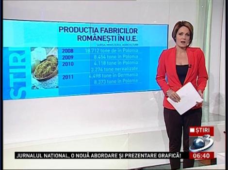 Ce se &icirc;nt&acirc;mplă cu producătorii de zahăr &icirc;n 2017