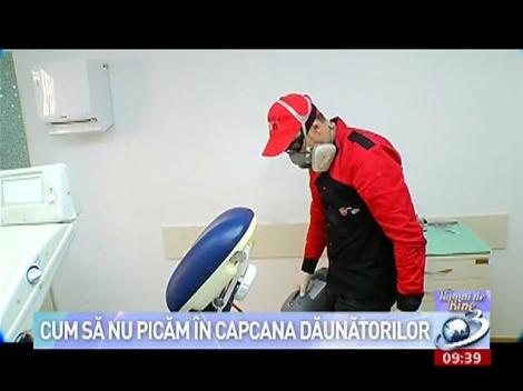 Numai de bine: Cum să nu picăm în capcana dăunătorilor