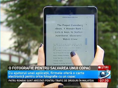 O fotografie pentru salvarea unui copac. Aplicaţia care te învaţă să iubeşti lectura fără să distrugi copacii