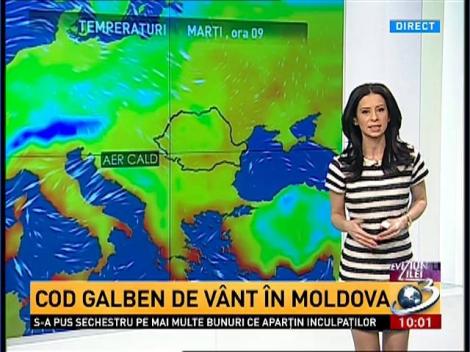 Cod galben de v&acirc;nt puternic &icirc;n Moldova