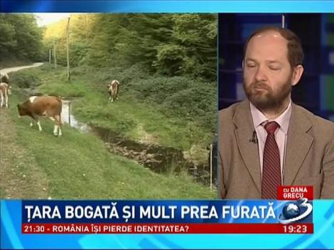 La ordinea zilei: Hemoragia de aur verde ne costă miliarde