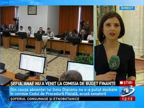 Senatul îl va reclama pe şeful ANAF, Gelu Diaconu