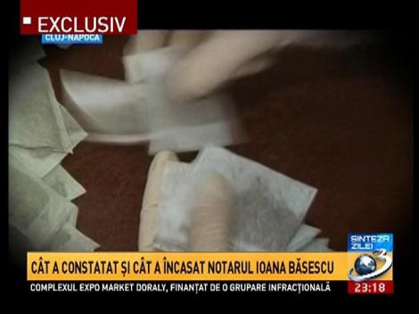 Plafar, compania v&acirc;ndută la bucată prin parafa Ioanei Băsescu