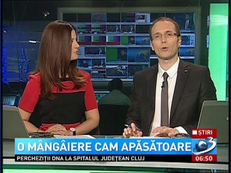 Un pui de focă extrem de drăguţ, găseşte afecţiune în braţele unei turiste