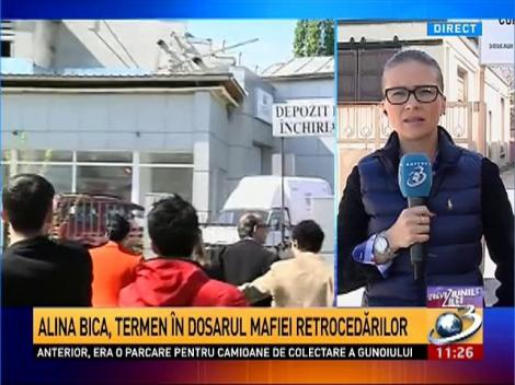 Alina Bica a refuzat să spună de ce nu &icirc;l primeşte pe Traian Băsescu