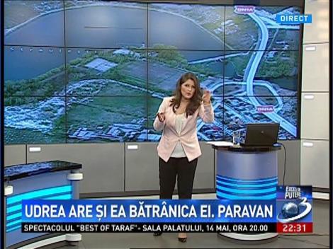 Exces de putere: Udrea are şi ea bătr&acirc;nica ei. Paravan