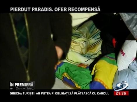 În Premieră: Pierdut paradis. Ofer recompensă - Partea a III-a