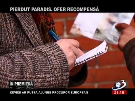 În Premieră: Pierdut paradis. Ofer recompensă