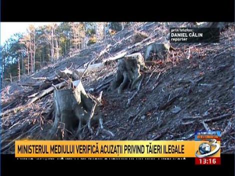 Anchetă la cel mai mare procesator de lemn din România