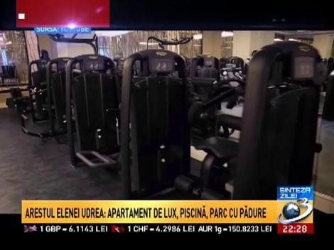 Sinteza zilei. Exploziv. Udrea, arest la domiciliu &icirc;n complex rezidenţial de milionari