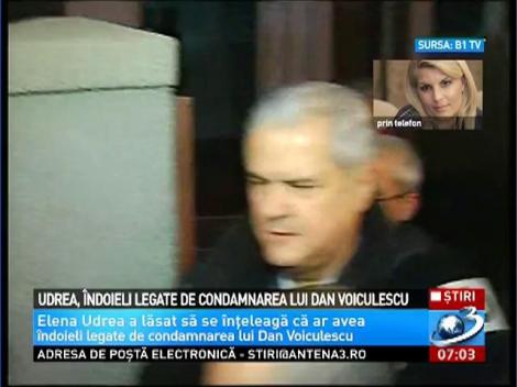 Elena Udrea, îndoieli privind condamnările lui Dan Voiculescu şi Adrian Năstase