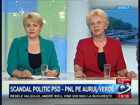 Doina Pană: Scrisoarea trimisă de austriecii de la Schweighofer premierului este a doua la număr