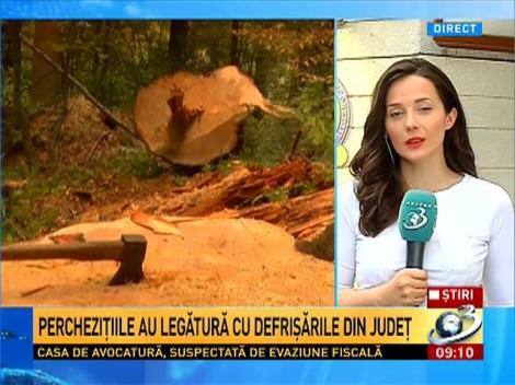 Percheziţii DNA la Direcţia Silvică Bistriţa Năsăud