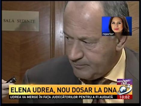 Elena Udrea, nou dosar la DNA