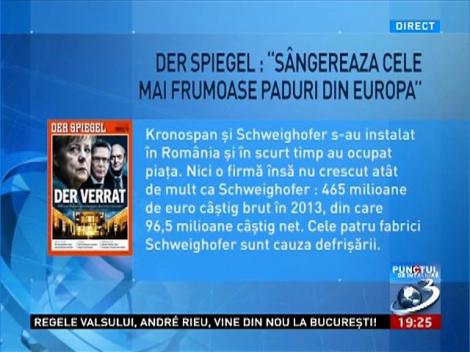 Der Spiegel: S&acirc;ngerează cele mai frumoase păduri din Europa