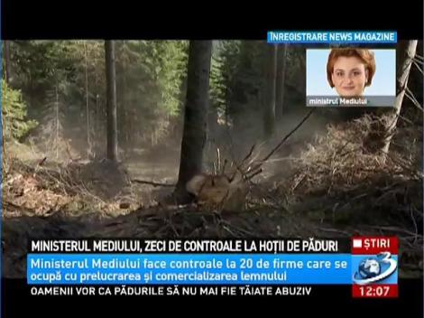 Ministerul Mediului, zeci de controale la hoţii de păduri