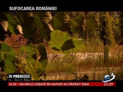 &Icirc;n Premieră: Sufocarea Rom&acirc;niei - Partea a IV-a