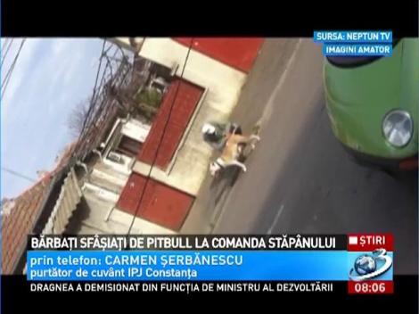 Bărbaţi sf&acirc;şiaţi de un pitbull la comanda stăp&acirc;nului
