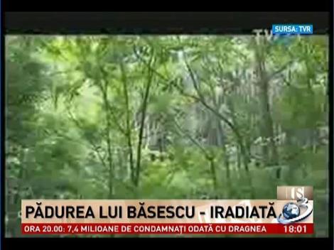 Secvenţial: Pădurea lui Băsescu - iradiată