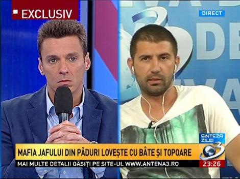 Sinteza zilei: Mafia jafului din păduri loveşte cu b&acirc;te şi topoare