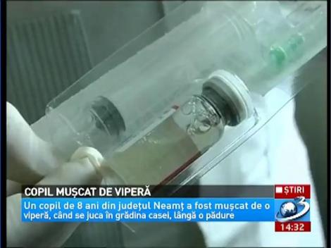 Copil muşcat de viperă &icirc;n judeţul Neamţ